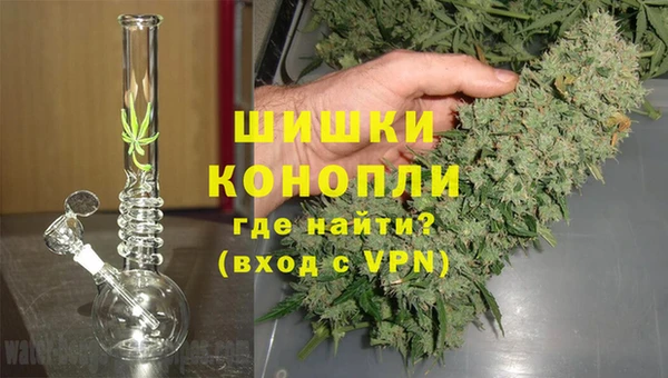 тгк Белокуриха